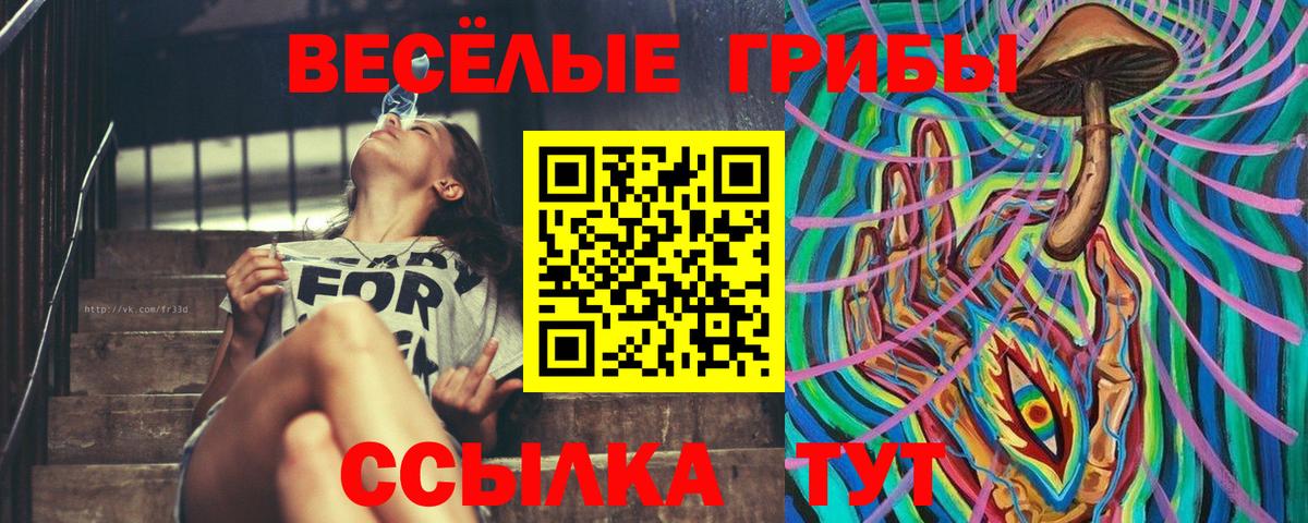 Псилоцибиновые грибы MAGIC MUSHROOMS  Вход с VPN  Советская Гавань 